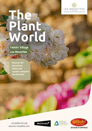 Flower guide En