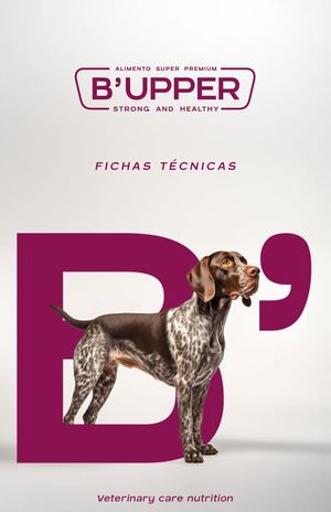 Bupper Ficha Lectura