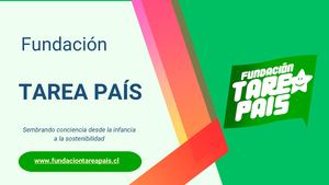 Proyectos De Fundación Tarea Pais
