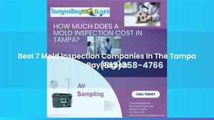 Best 7 Mold Inspection Companies In The Tampa Bay Region