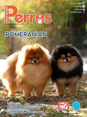 Revista Peros Pura Sangre | Mayo 22