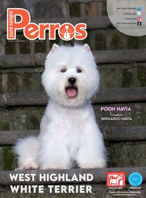 Perros Pura Sangre | Octubre 2022