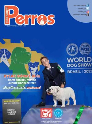 Perros Pura Sangre | Marzo 2023