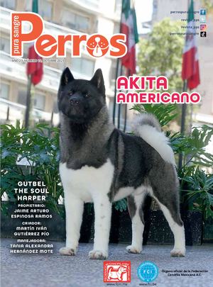 Perros Pura Sangre | Octubre 2023