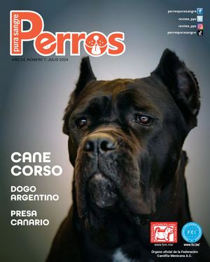 Perros Pura Sangre | Julio 2024