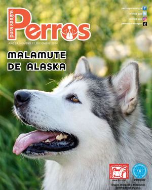 Perros Pura Sangre | Diciembre 2024