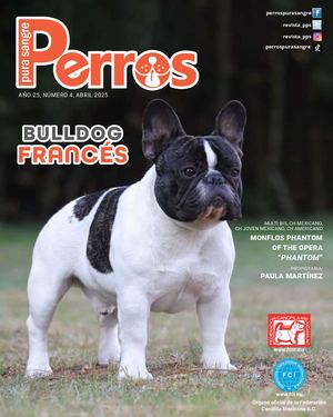 Perros Pura Sangre | Abril 2025