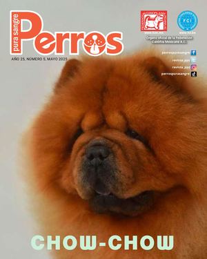 Perros Pura Sangre | Mayo 2025