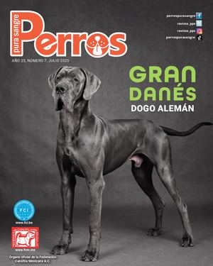 Perros Pura Sangre | Julio 2025