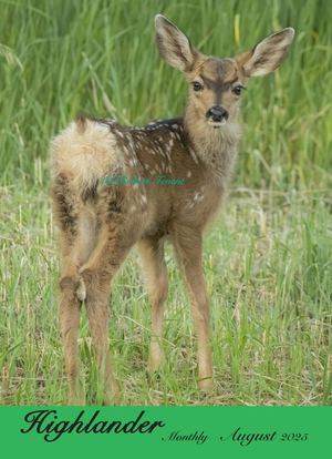 Highlander August 2025