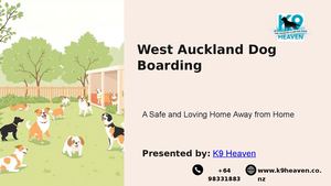 West Auckland Dog Boarding (2)