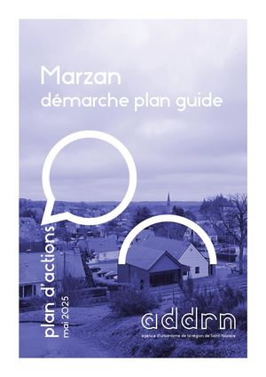 Plan Guide Plan D Action