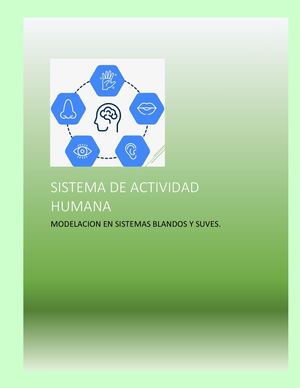 Sistemas De Actividad Humana Como Un Lenguaje De Modelación