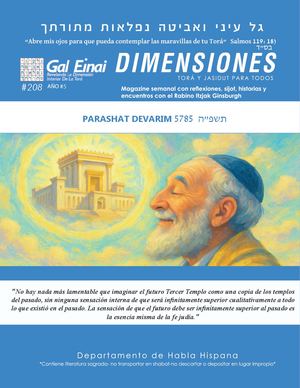 Dimensiones Parashat Devarim Edición 208