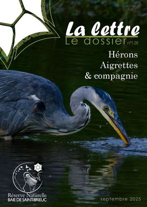 Heron Aigrette&co