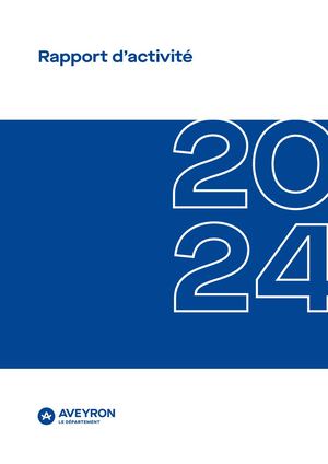 Rapport Activite 2024