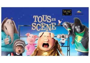 Cinema Plein Air Mairie De St Martin De Crau