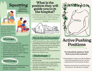 Calaméo - Active Pushing Positions Pamphlet