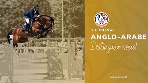 2025 Plaquette Partenaire Anaa