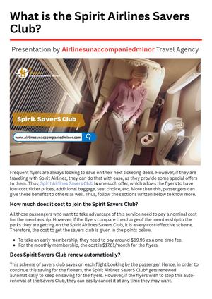 What Is Spirit Airlines Savers Club?