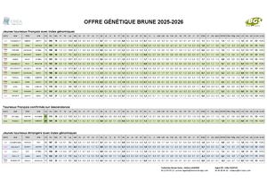 Offre Brune 2025 2026