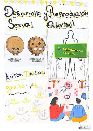 Desarrollo Y Madurez Se Folletos 7
