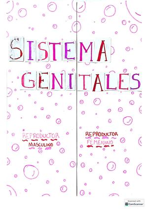 Sistema Gen
