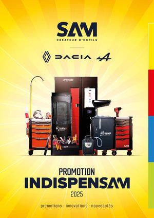 Renault Indispensam 2025