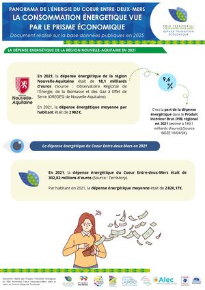 Panorama Consommation énergétique Vue par Le prisme économique