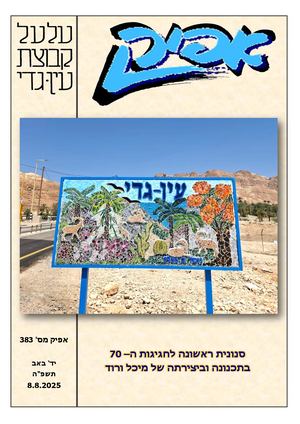 אפיק 383 7 2025