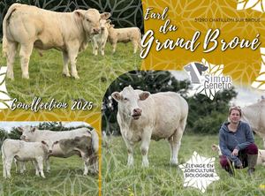 EARL du Grand Broue cowllection2025