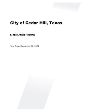 FY2024 Single Audit Report
