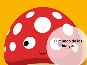 Reino Fungi Para Ninos
