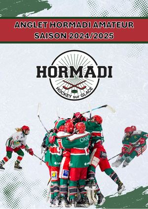 Plaquette Partenaires 2024/2025 de l'Anglet Hormadi Amateur