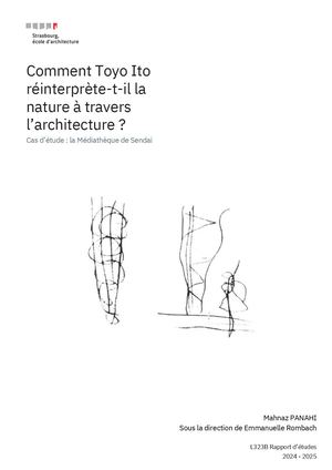 Mahnaz Panahi Rapport d'Etudes
