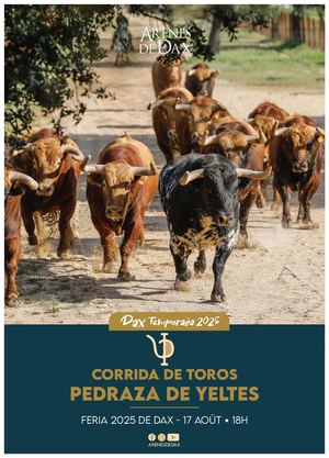 Présentation de la corrida Pedraza de Yeltes