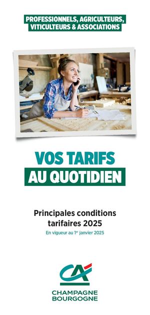 Tarifs Professionnels 2025