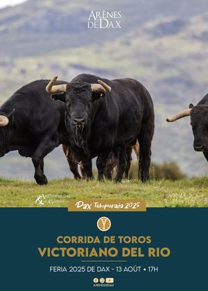 Présentation de la corrida Victoriano Del Rio