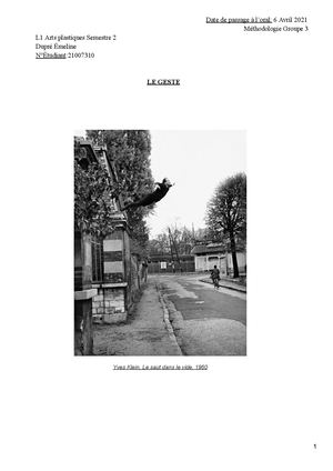 L1 D'arts Plastiques - Dossier et Exposé sur le Geste