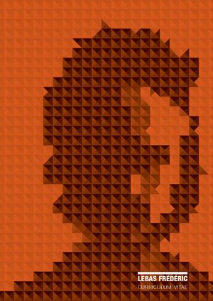 CV Frédéric Lebas