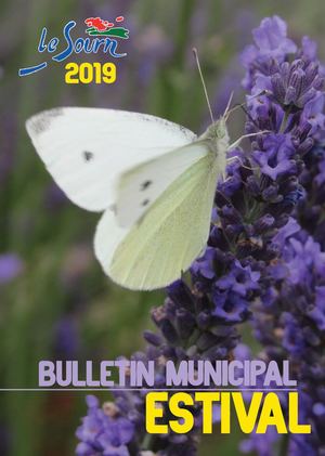Bulletin Estival 2019
