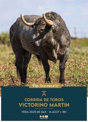 Présentation de la corrida Santiago Domecq