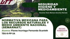 Normas Semarnat Fernanda Scarleth Flores Inurriaga Ii Pp 2a