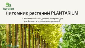 Питомник растений Plantarium RU