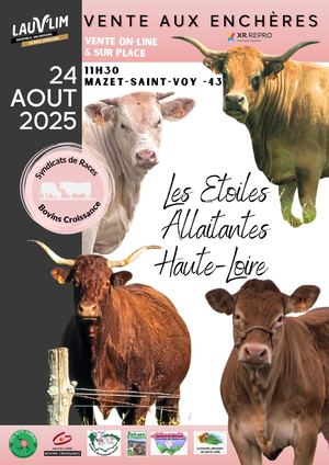 Vente Les Étoiles Allaitantes 43