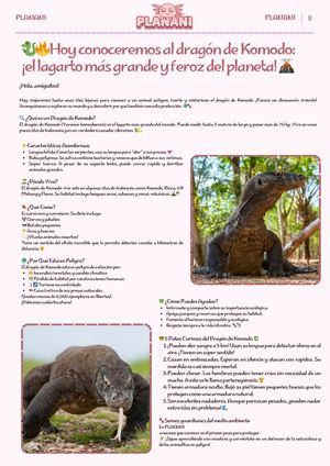 Hoy conoceremos al dragón de Komodo: ¡el lagarto más grande y feroz del planeta!