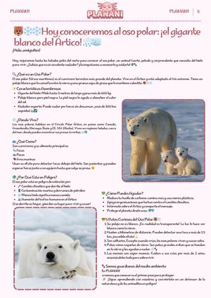 Hoy conoceremos al oso polar: ¡el gigante blanco del Ártico!