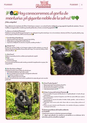Hoy conoceremos al gorila de montaña: ¡el gigante noble de la selva!