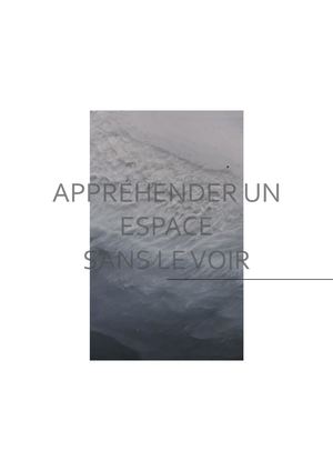 Mémoire Design d'Espace - APPREHENDER UN ESPACE SANS LE VOIR