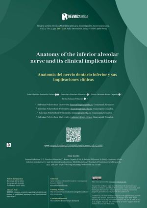 Anatomy Of The Inferior